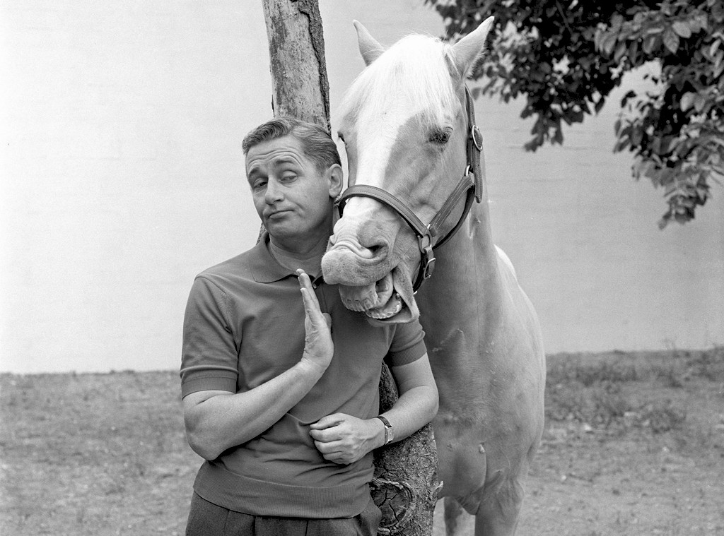 Photos from Famous TV and Movie Horses - E! Online